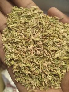 green fennel seeds