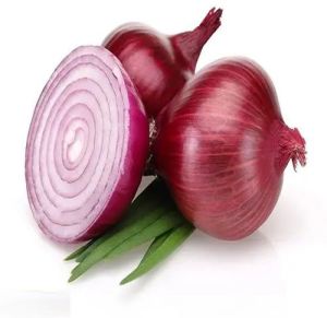 Fresh Red Onion