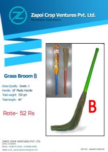 Broom Grass