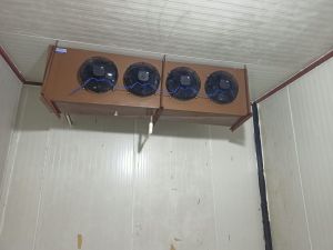 Cold Room