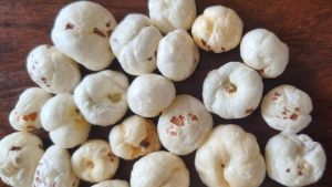 Fox Nuts