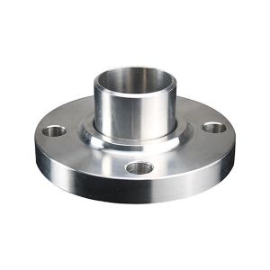 Stainless Steel Flanged Disc