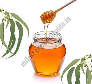 Eucalyptus Honey