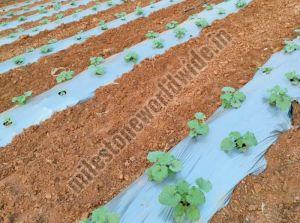 Mulching Film