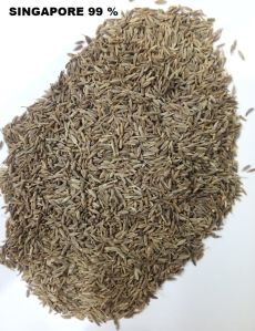 brown cumin seed Singapore 99%