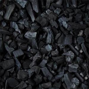 Bio Coal