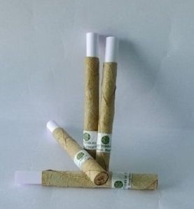 Tendu Leaf Pre Rolled Cones