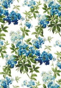 Georgette Digital Printed Fabric