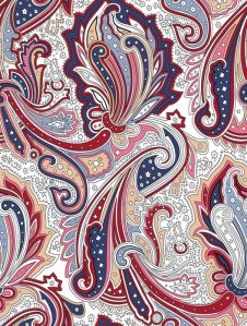 Paisley Design Digital Printed Fabric