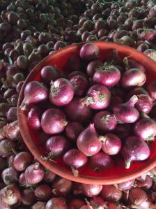 Fresh Red Onion