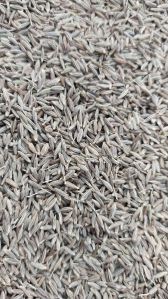 Cumin Seeds