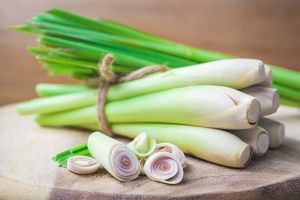 Fresh Lemongrass Leaves