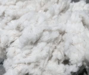 Indian Cotton Flat Waste