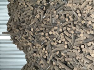 biocoal briquettes