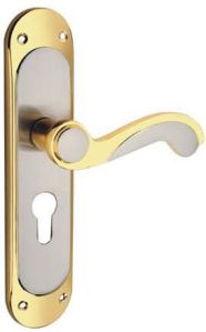 Alesha Brass Mortise Handle