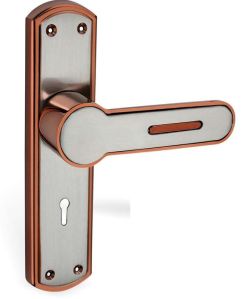 Deniel Stainless Steel Mortise Handle