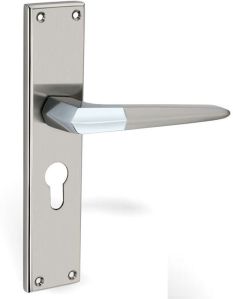 Lenova Brass Mortise Handle