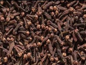 Clove Seeds