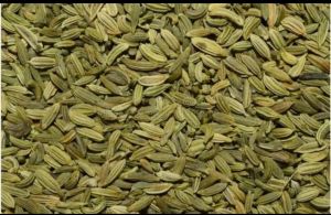 Fennel Seeds