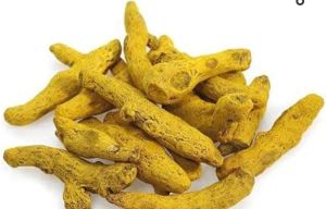 Fresh Turmeric