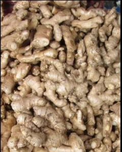 Ginger Seeds