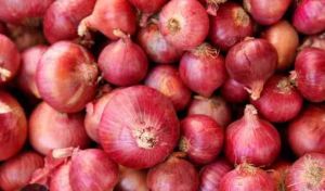 Red Onion