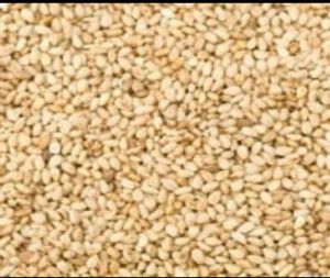 white sesame seeds