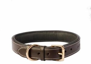 Fancy Eco Friendly Genuine Leather Dog Collar