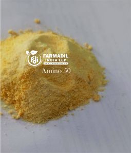 Amino Acid