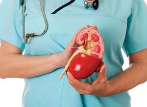 Kidney Disease Treatment Service