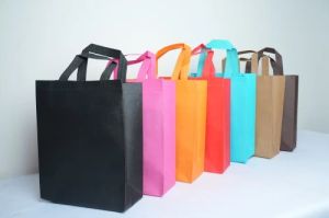 Non Woven Shopping Bag