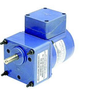 25 WATT INDUCTION MOTOR