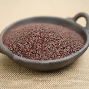 Brown Mustard Seeds