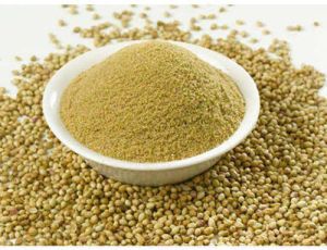 Coriander Powder