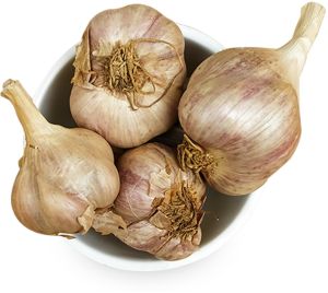a Grade Hill Garlic