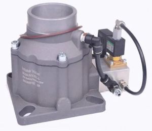 Air Compressor Intake Valve