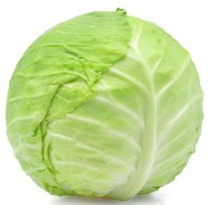 Cabbage