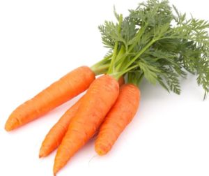 Carrot