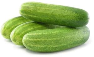 Cucumber