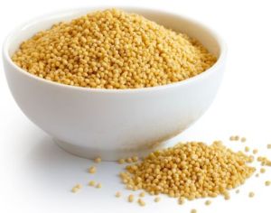 foxtail millet