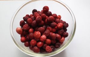 Freeze Dried Cranberry