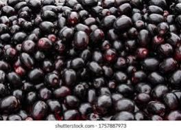 JAMUN