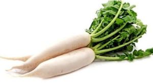 Radish