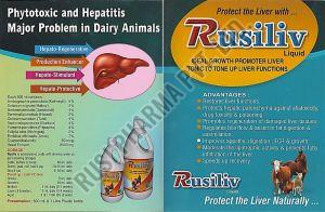 Rusiliv Cattle Feed Supplement