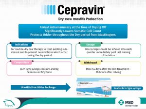 CEPRAVIN DRY COW SYRINGE - 3G