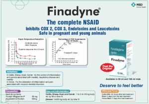 finadyne - 20ml injection