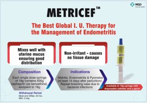 METRICEF SYRINGE - 19G