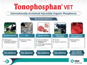 TONOPHOSPHAN INJ 30ML