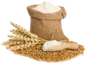 Wheat Flour