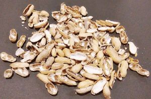 Groundnut Shell